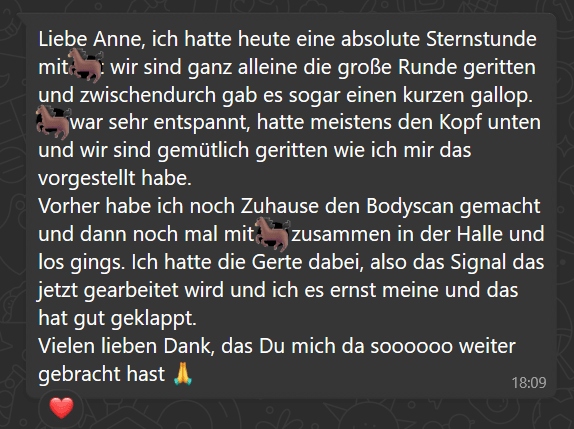 Reitangst-Coaching Erfahrungsbericht