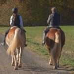 Plötzlich Angst beim Reiten – nach einem Sturz, einer Pause oder wenn man älter wird zwei Reiter auf ihren Pferden; Thema: plötzlich Angst beim Reiten nach einem Sturz, nach einer Pause als Wiedereinsteiger oder wenn man älter wird
