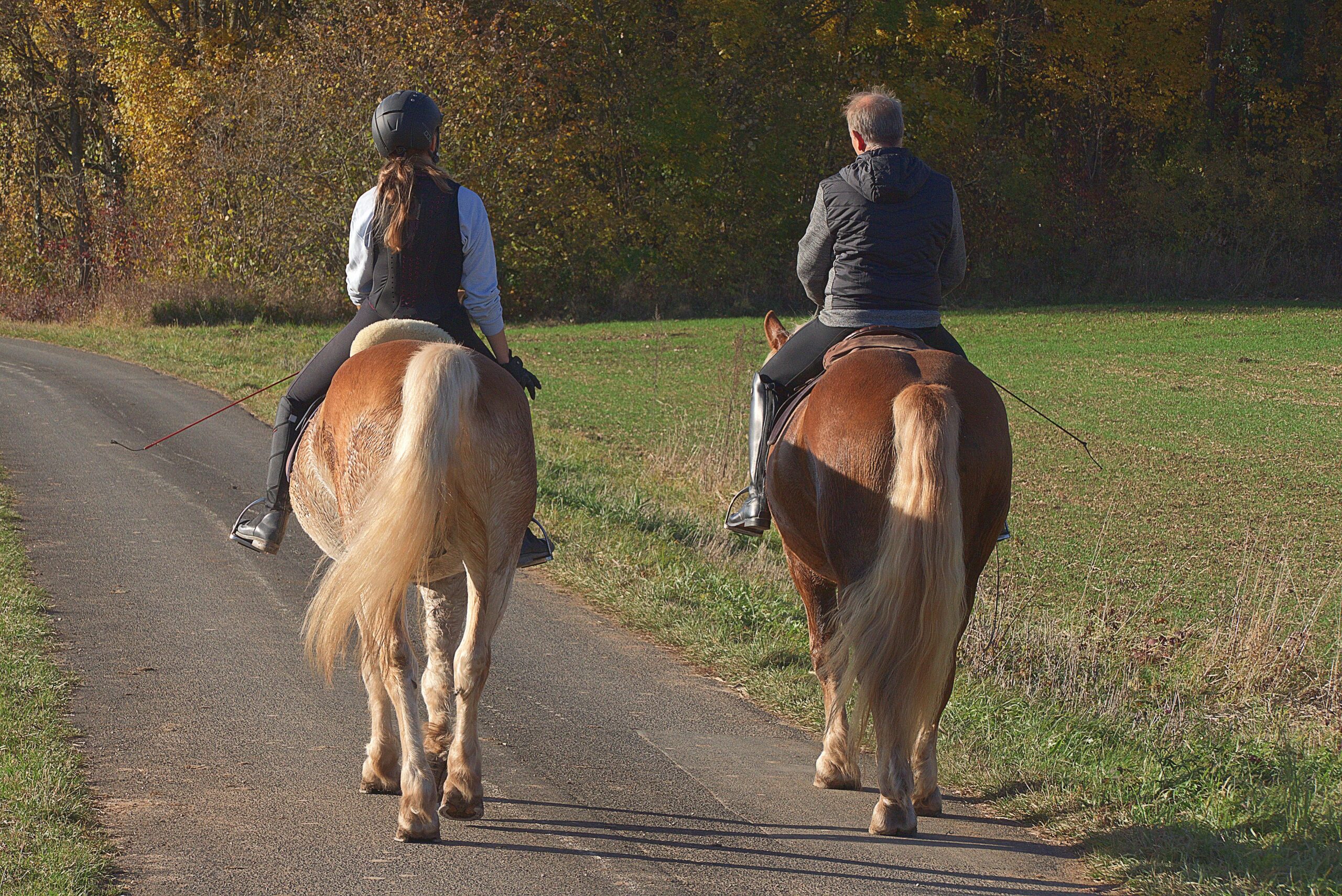 Plötzlich Angst beim Reiten – nach einem Sturz, einer Pause oder wenn man älter wird
