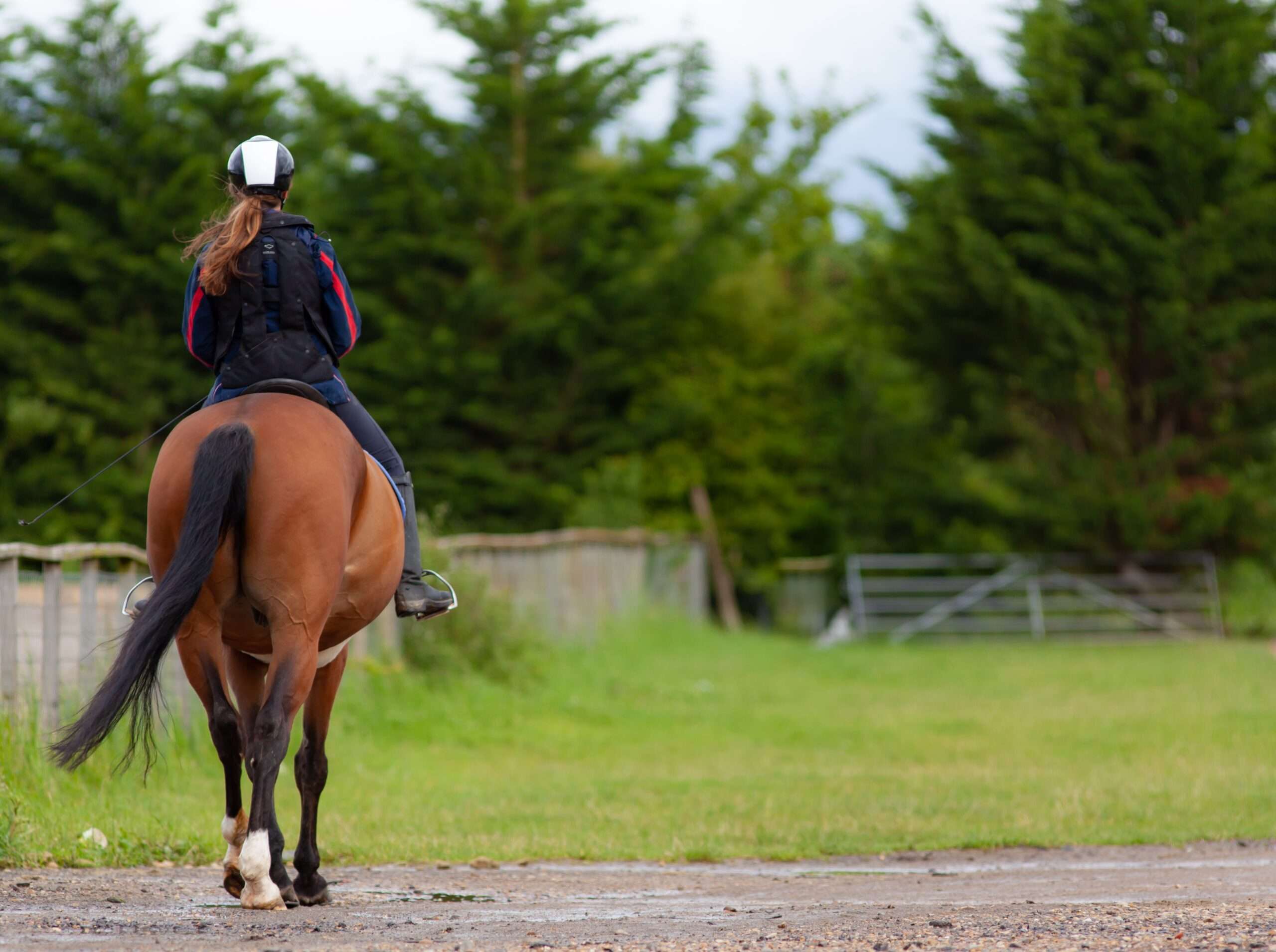 Angst beim Reiten überwinden – Handlungsspielraum zurückbekommen